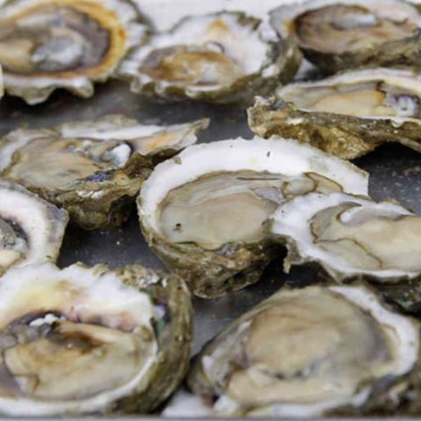 Holla for a dolla! We've got $1 oysters everyday from 3pm-7pm. #gethooked