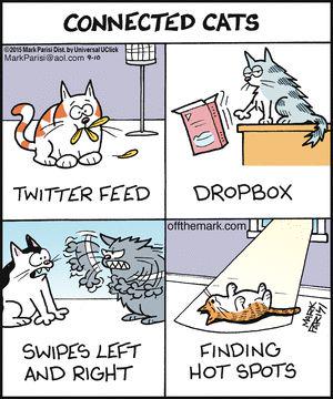cuteytech's tweet image. My cat is particularly fond of dropbox... 
@CatsOfTwitter #cutetech #cat #catbastards