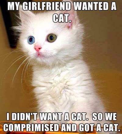 mclean_2's tweet photo. LOLLLLL!!!!!!!!!!!!!!!!! #TooFunny http://t.co/izw3EsPH5G