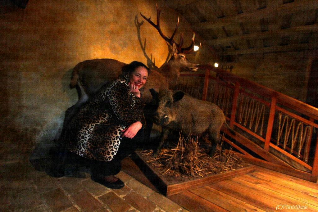 Ilva, briedis un meža kuilis.
 Šovakar Ventspilī man ļāva visādi izrunāties.