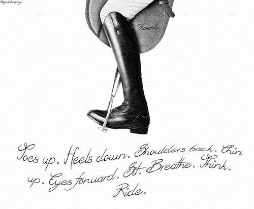 KoniaEquestrian's tweet photo. Love this! <3 #QuoteOfTheDay http://t.co/7iZiuJwgNy