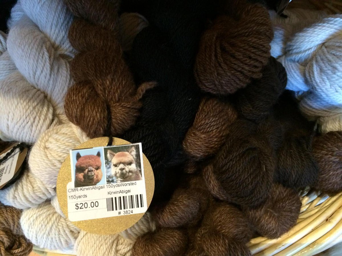 Love knowing the name of the alpaca you are getting your yarn from @crescentmoonranch #terrebonne #alpacas