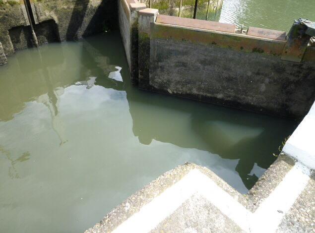 HRMsuzuki's tweet photo. Brentford Locks - Grand Union Canal

© photographs by hiromi suzuki, 2011

@wheneverisit1 @ProtectTheCanal http://t.co/0722ouX5bh