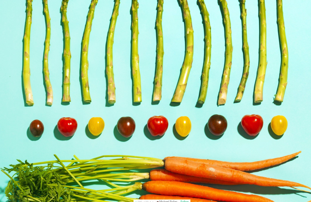 foodtechconnect's tweet photo. Last week's top #foodtech + innovation stories neatly curated for your viewing pleasure: http://t.co/MXm00pviHm http://t.co/sUrPtsHkyf