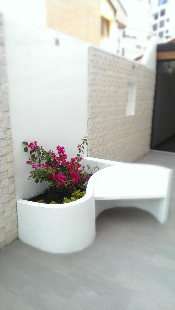 Boga_desing's tweet photo. #arquitectura #garden #Ecuador #design #terraza http://t.co/u2mMHa9TKL