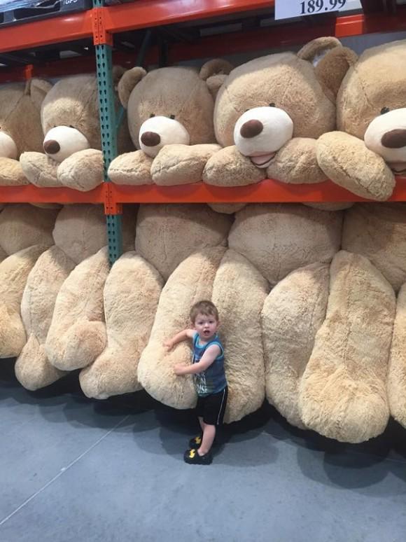 consensus la glace statistiques ours peluche costco Flipper Emballage