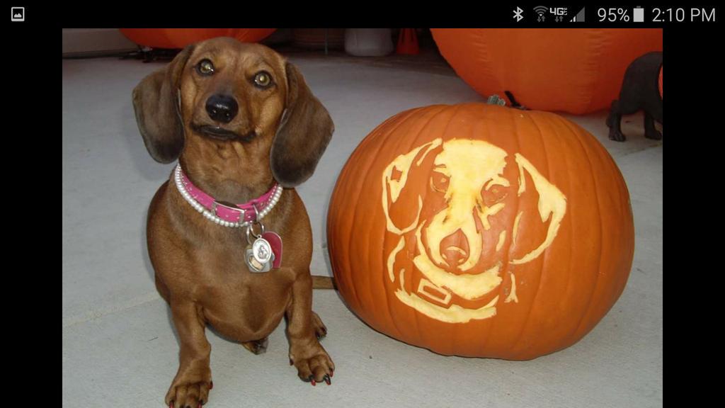 classymis's tweet image. 