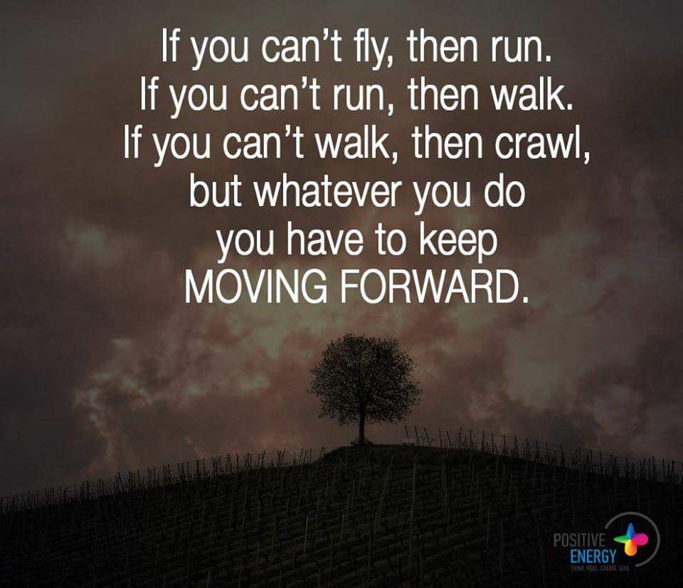 Seedforest's tweet image. 