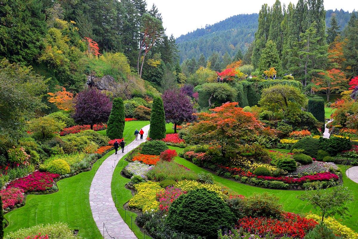 FRSClipper's tweet photo. Your fall color update from #VictoriaBC's spectacular @butchartgardens. Oh my! #ExploreVictoria #ExploreBC http://t.co/GH8tdsaCQx