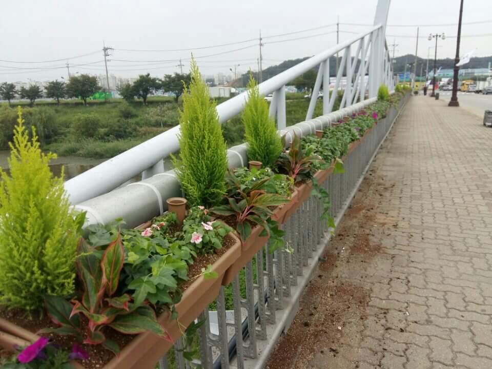 남촌대교를 지나실때 혹시 무언가 바뀌신걸 못 느끼셨나요! 

최근 남촌대교 꽃박스 초화류를 새로운 품종으로 예전보다 훨씬 예쁘고 화사하게 단장해서 다리를 지날때마다 아름다운 꽃들로 기분까지 좋아집니다^^