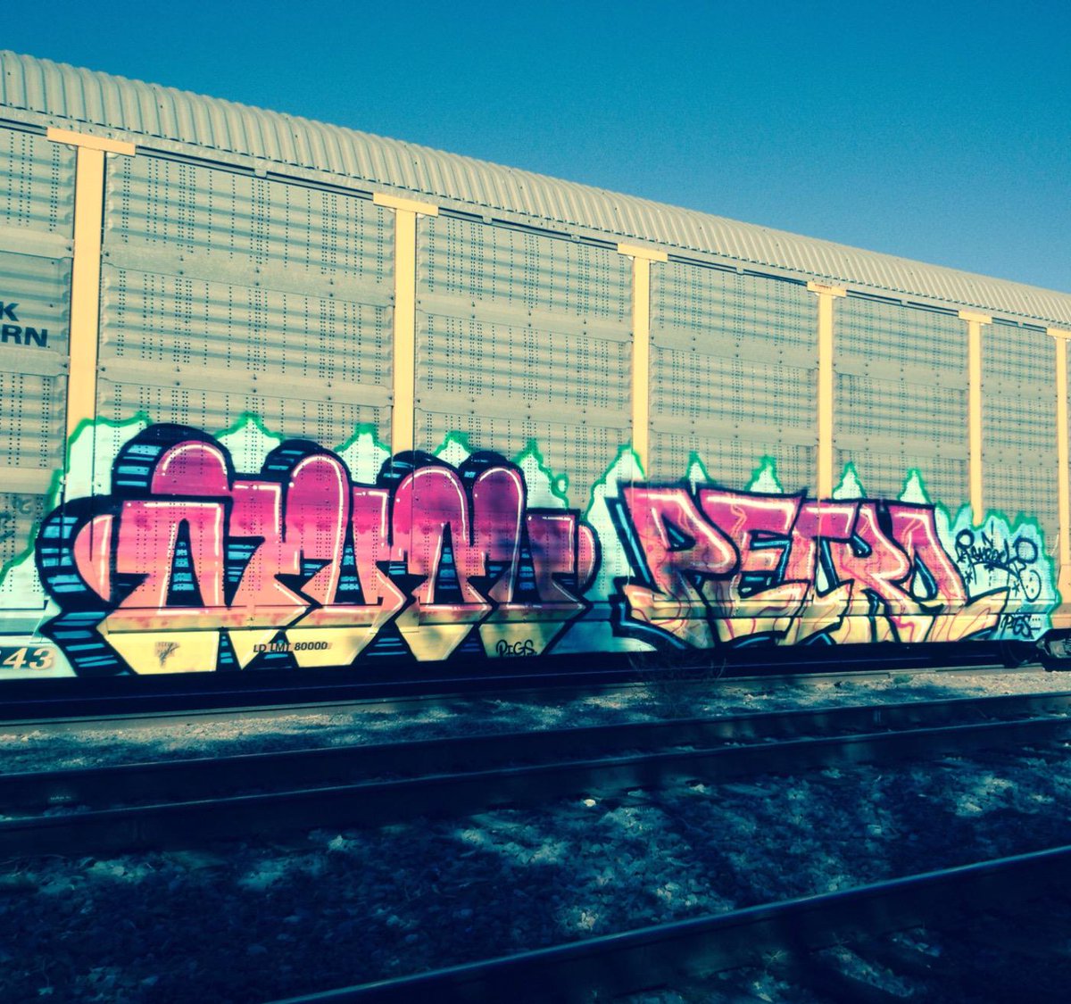 petrocksk1's tweet photo. Smash and grab... #petrockski #heyretard #pigscrew http://t.co/Y95f7dx6U9
