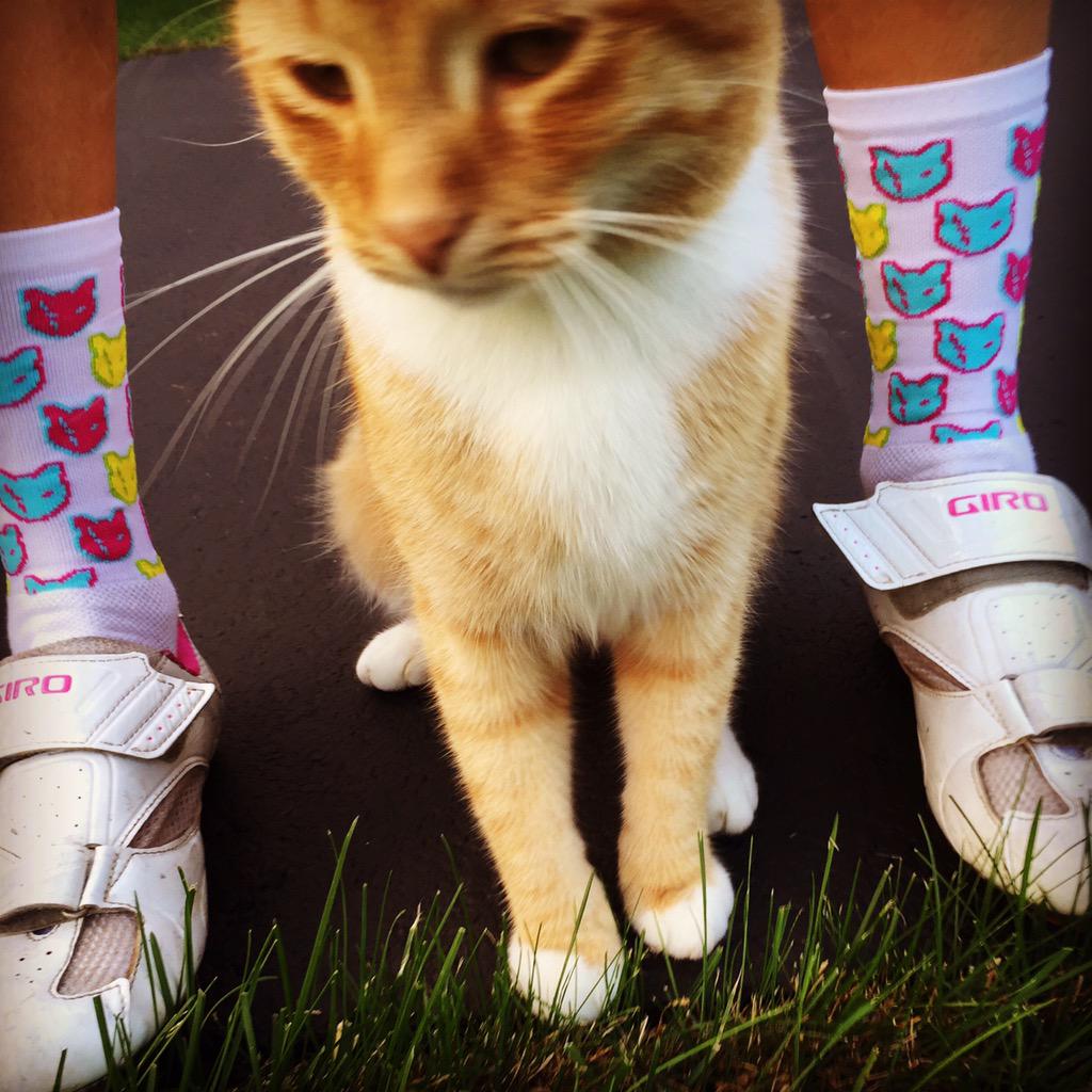 EmSher1's tweet photo. On Tuesday we wear cats. Killer bike session brought to you by @LaserCatsnSuch #catdoping http://t.co/vhernKHTty