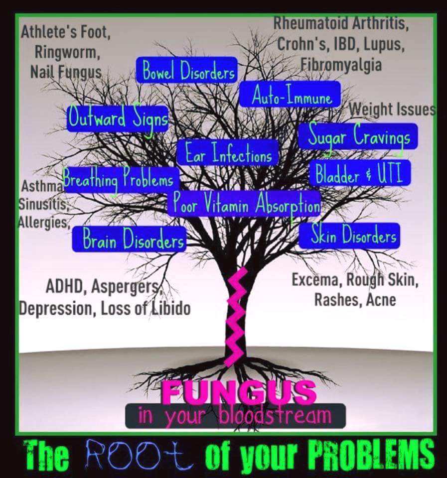 Nancywithplexus's tweet image. 