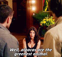 wendyrandolph's tweet image. @MaryringmyBell haha!! I had to! #Ruby2.0 #Alpacas #HotTopical #Supernatural