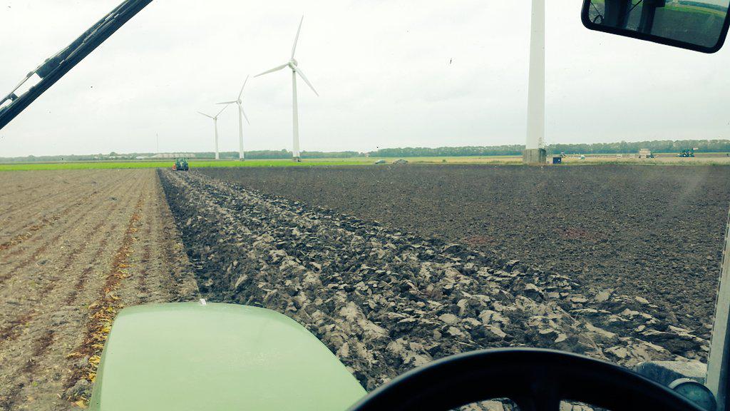 De eerste wintertarwe zit in de zware klei!