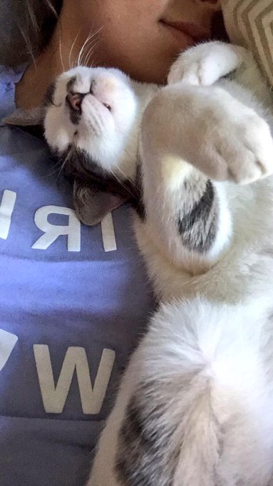 Home sweet home http://t.co/qaZYdfH0ZE<a href="/tag/thingsyoufindinspieglerscar"class="tags"><span>#thingsyoufindinspieglerscar</span></a>