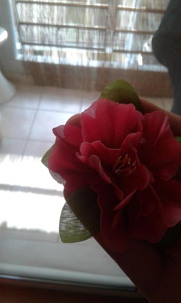 GreeceNeedsAri's tweet photo. Dear @camerondallas,
I offer you this flower (it's by plastic but who cares😂) beaceause I love you.Please rt💖 http://t.co/jEEeErTELM