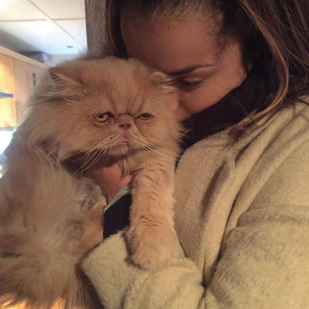 EllaEyre's tweet photo. the face says it all:

PUT ME.
THE FUCK.
DOWN. 
😑 http://t.co/P8hNipoV9C