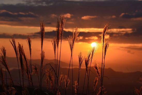 暦生活 こよみせいかつ En Twitter 釣瓶落とし つるべおとし 晩秋の夕暮れはすぐに空が茜色に染まり 日が沈みます 釣瓶落としとは そんな晩秋の夕暮れをあらわす言葉です 釣瓶とは井戸から水をくみ上げる桶のことで 井戸の底へ釣瓶が落ちていく早さに