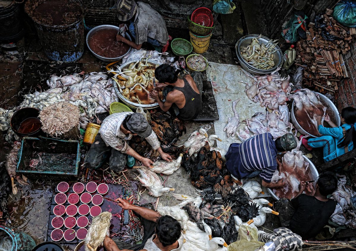 The winner of the Asia Pacific prize is Peter Graney with his fantastic image 'Poultry Prepared for Market'