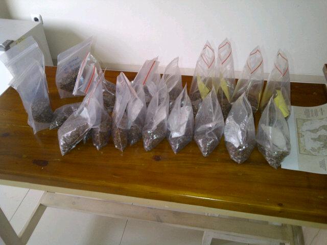 To be cupped and then make buying decision