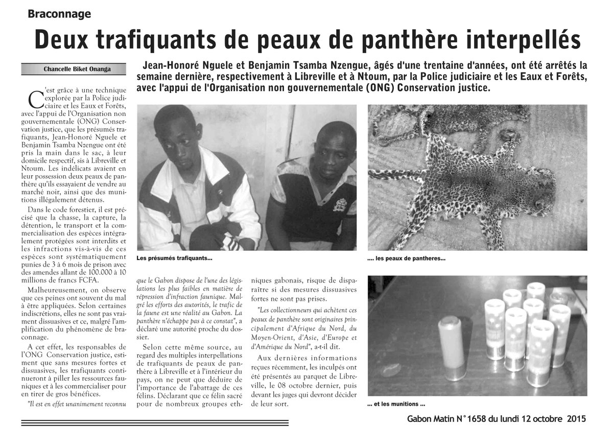 #Gabon Deux trafiquants de peaux de panthères arrêtés à Libreville et Ntoum. #GabonMatin