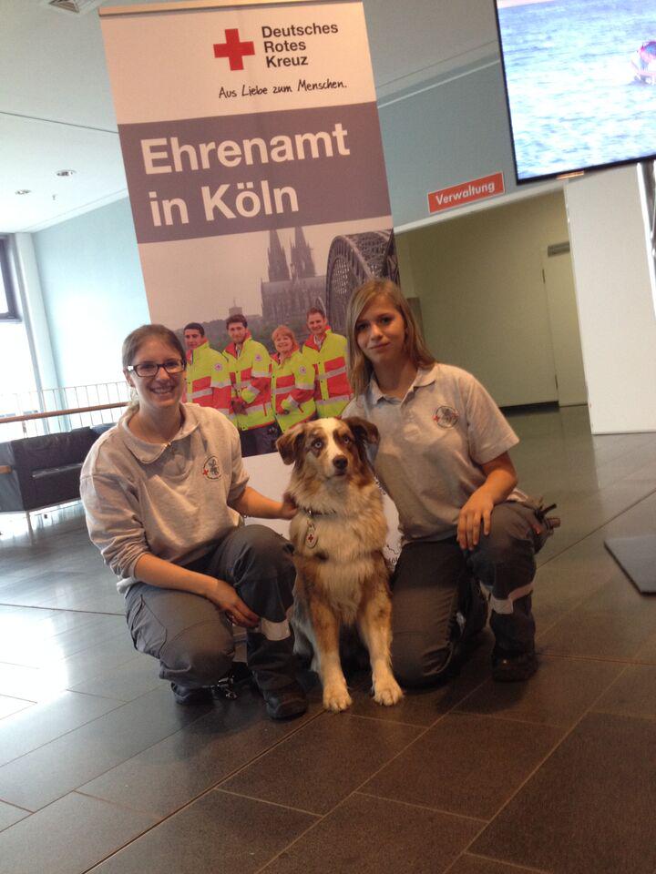 odysseumkoeln's tweet image. Erste Hilfe, Brandschutz, Chaosrallye und Rettungshundestaffel live in Aktion im Odysseum #Herbstferienprogramm #BBK