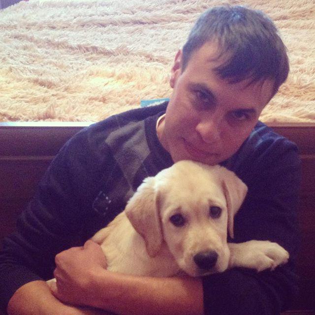 Фото из Башкирии on Twitter: "#лабрадорхолли #собакадругчеловека #dog # ...