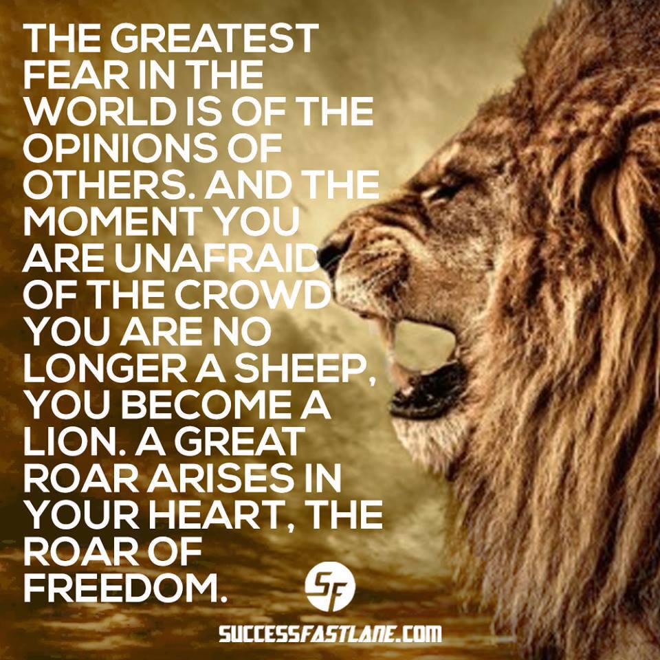 Quotes About Rising Above Successfastlane.com On Twitter: "Rise Above The Noise At  Http://T.co/Ofqajdrnpd #Quotes #Motivationmonday #Inspiration #Mindset #10X  Http://T.co/7Bm5B0N5Yv" / Twitter