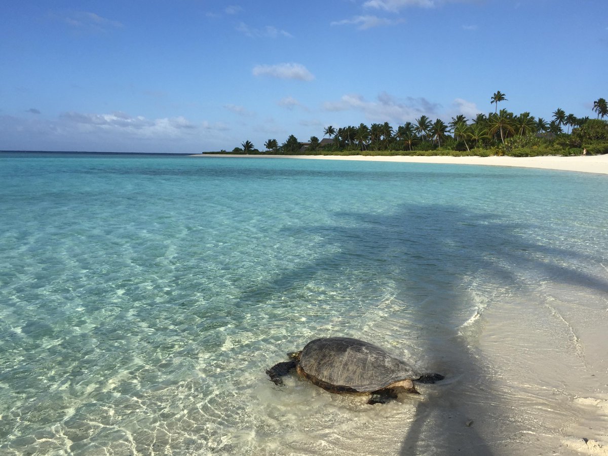 Look who's back! (Photo credit: Tumi Brando)