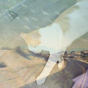 ManeejanC's tweet image. น้องเเพนกับหลาน😋😝😘😙