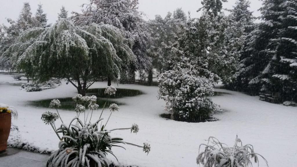 Mitte Oktober: #Schnee in Dalheim!