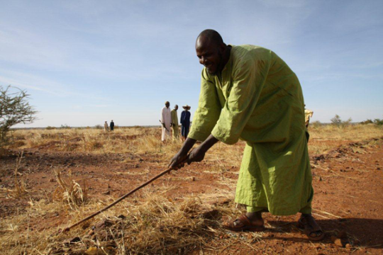UNDPAfrica's tweet photo. DYK. #Africa’s historical climate data can save lives &amp; enhance risk preparedness http://t.co/1NBMKEDTEC #IDDR2015 http://t.co/G0Pjqi7bz2