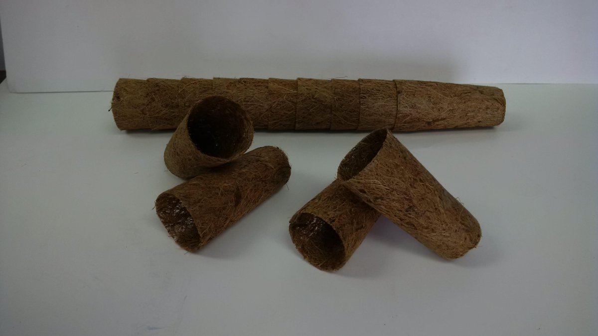 TurtleCoconut's tweet photo. #pot #weed coconut fibre pots. Smaller ones ideal for Cloning. Air Pruning roots high yields, pot in pot system http://t.co/gPQ3YPzuU1