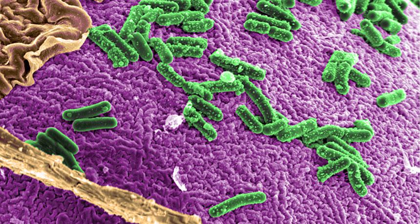 Microbes may reveal colon cancer mutations: ow.ly/ToGTt #ASHG15