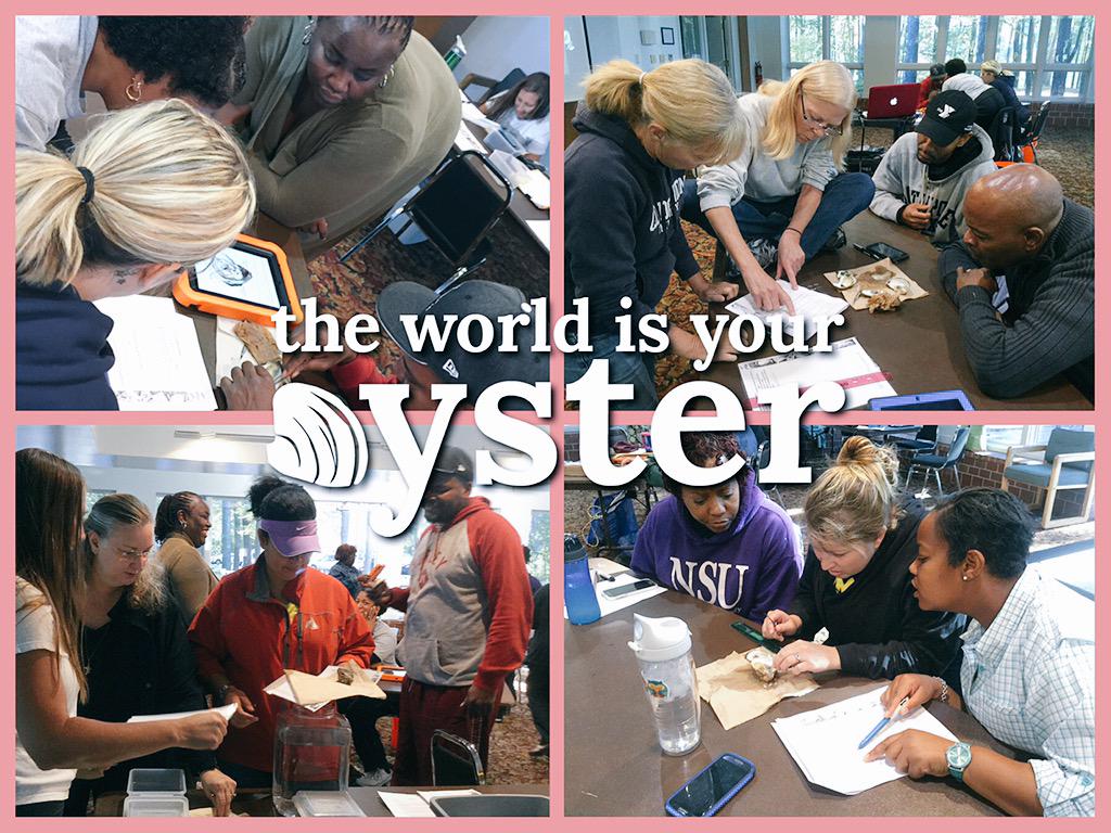 HCS_ScienceDept's tweet image. HCS teachers observe and dissect oysters with @LSorabella from #oysterreefkeepers. #HCSScience @HamptonCSchools