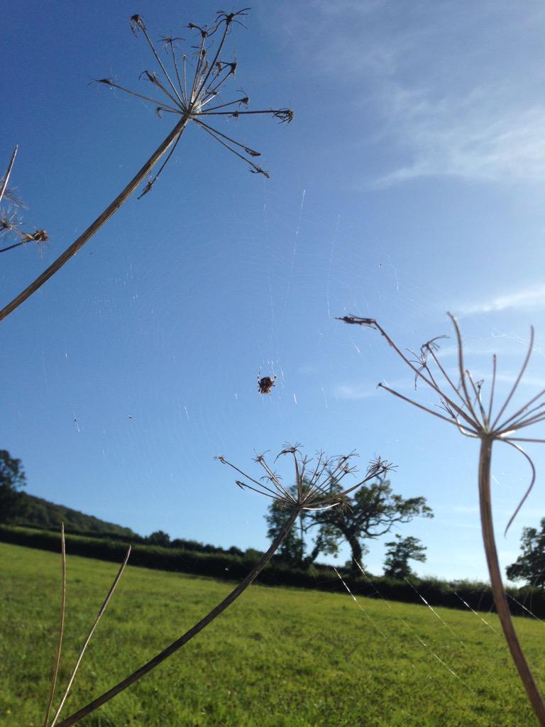 Jeremy Roberts tweet media