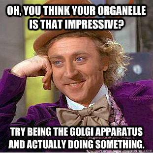 Golgi_Appt's tweet photo. #organellewar #voteforgolgiappt #golgiapparatusisbetter http://t.co/QcShcyTmPp