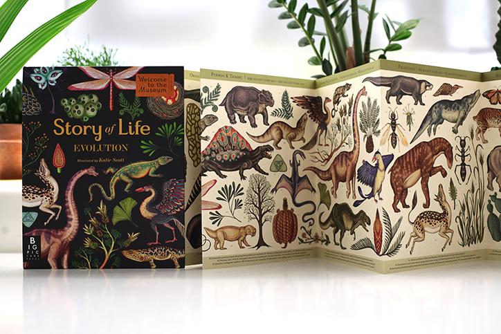 itsnicethat's tweet image. Amazing illustrations of insects, sea creatures, birds and dinosaurs from Katie Scott &amp;gt; goo.gl/KqPOaP