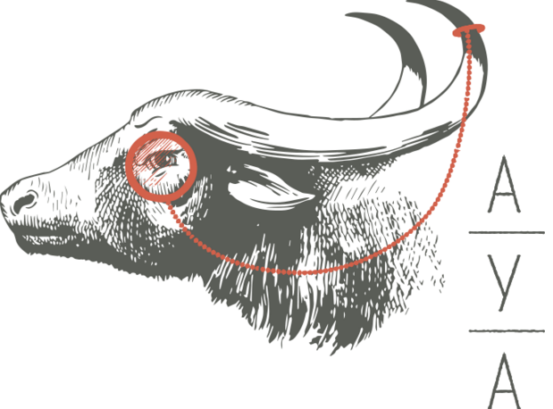 charlestonmag's tweet image. Join @AYAcookhouse for a #DimSumPalooze w/ wines from @domainechandon ht.ly/TolX9 #chsmag #chseats