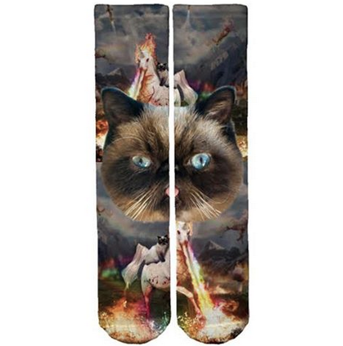 DerTheCat's tweet photo. Buy me - quick.... Before it is too late. #derthecat #bakdropsocks https://t.co/uFIdUdz0ip http://t.co/EYCqnLYMf0