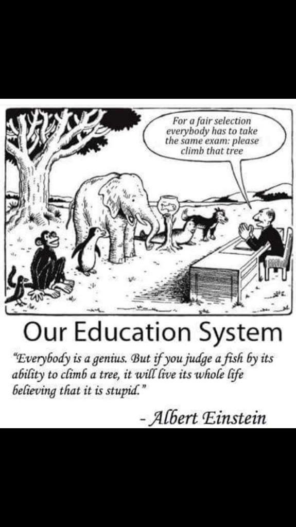 jessistojowski's tweet photo. http://t.co/SOWwGPQ8OY