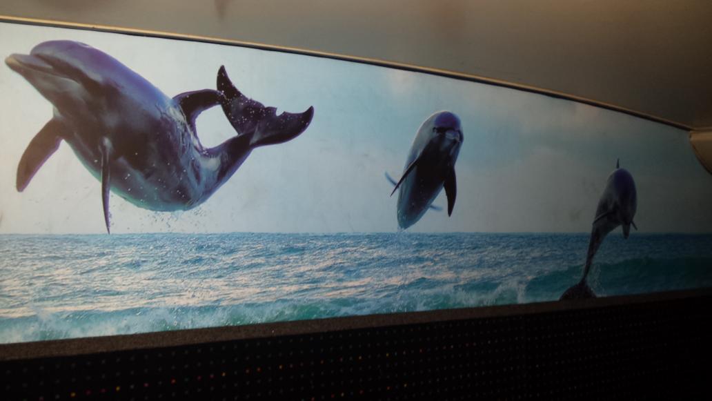 Our fourth and final #Claret #Spritzer bus is back from <a href="/SECoachworks/">South East Coachworks</a>! #dolphins