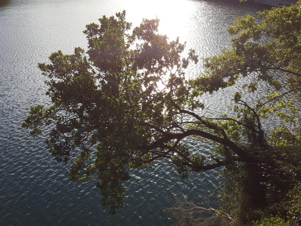 MiguelHilargiak's tweet image. 