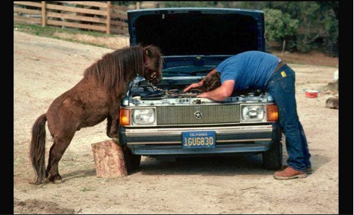 AF_PriceFord's tweet image. Is this #AutoFarming?