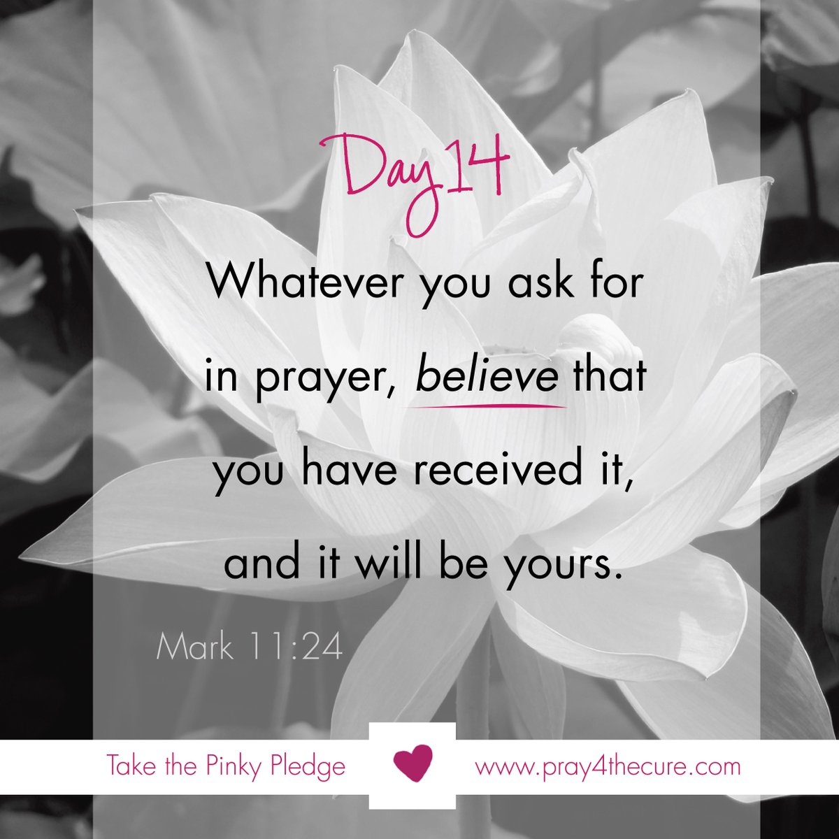 We believe. #pray4thecure #BreastCancerAwareness