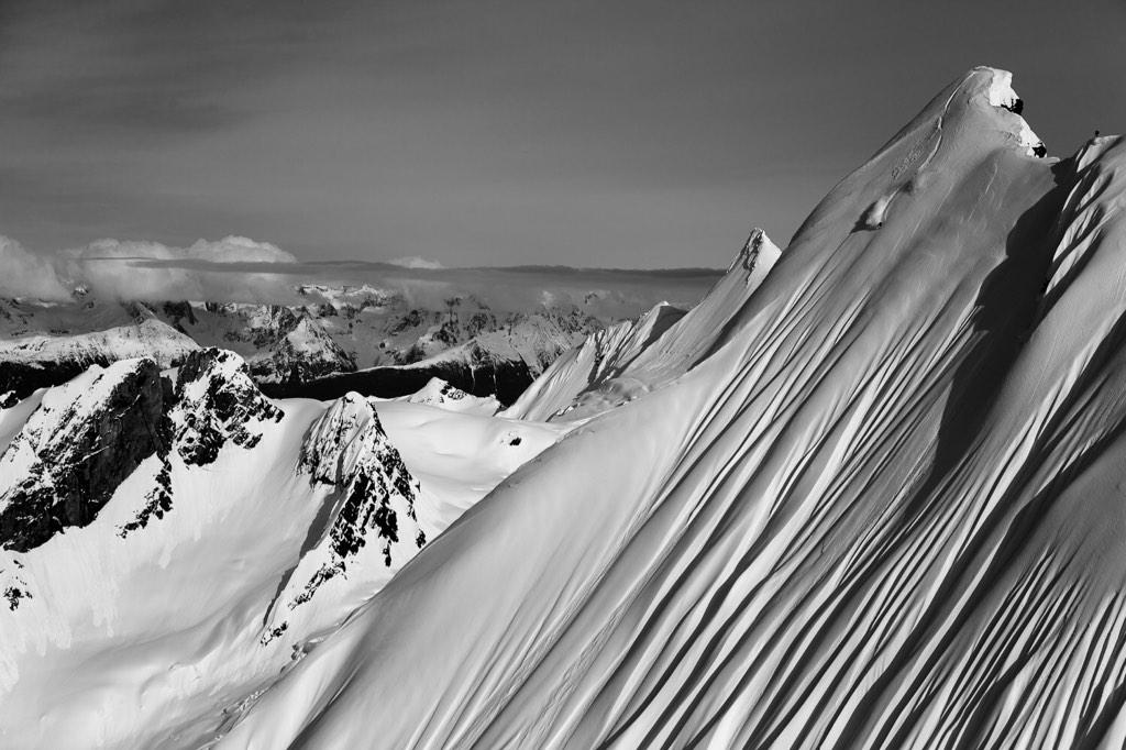 Will Wissman tweet media