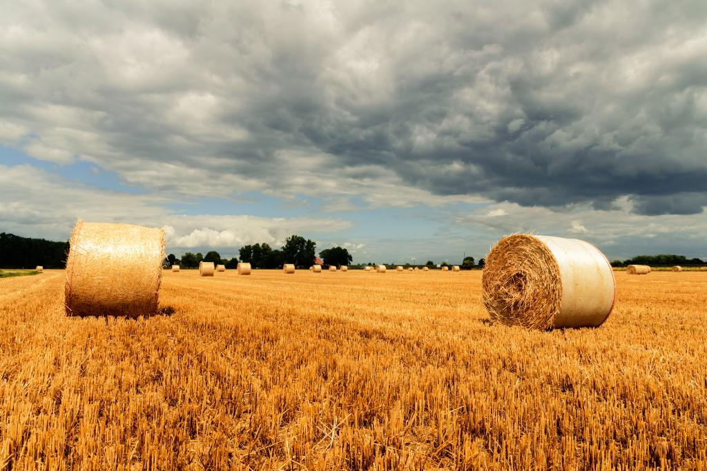 RegioReporter's tweet image. #Leipzig #Sachsen | 15jähriger stirbt in Strohpresse - regional-reporter.de/?p=4063