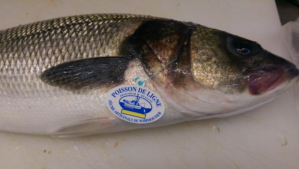 Truite bio, bar de ligne au pampre