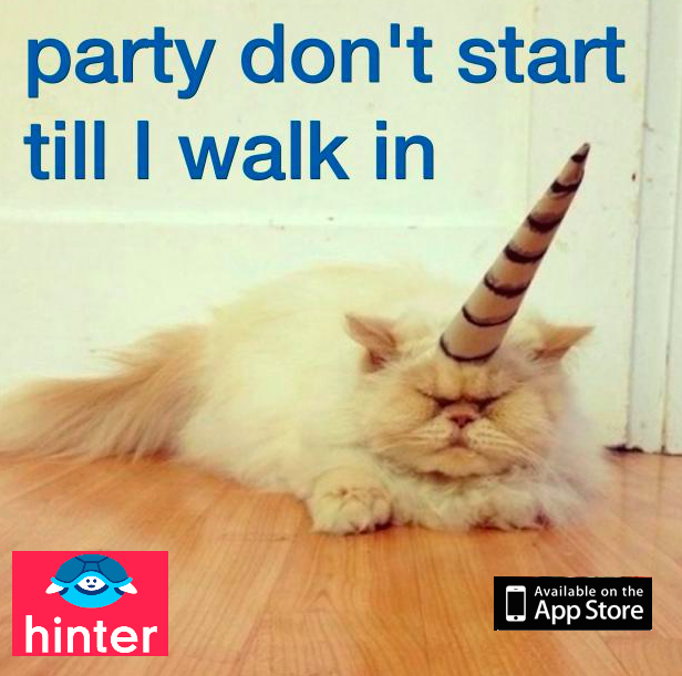 GoGoHints's tweet image. The party doesn't start until the star walks in. Tap to reveal: bit.ly/1SE7QcT #memes #CatsOfTwitter